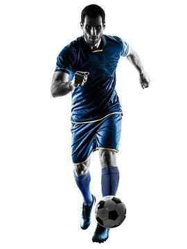 BOB体育 主要标志